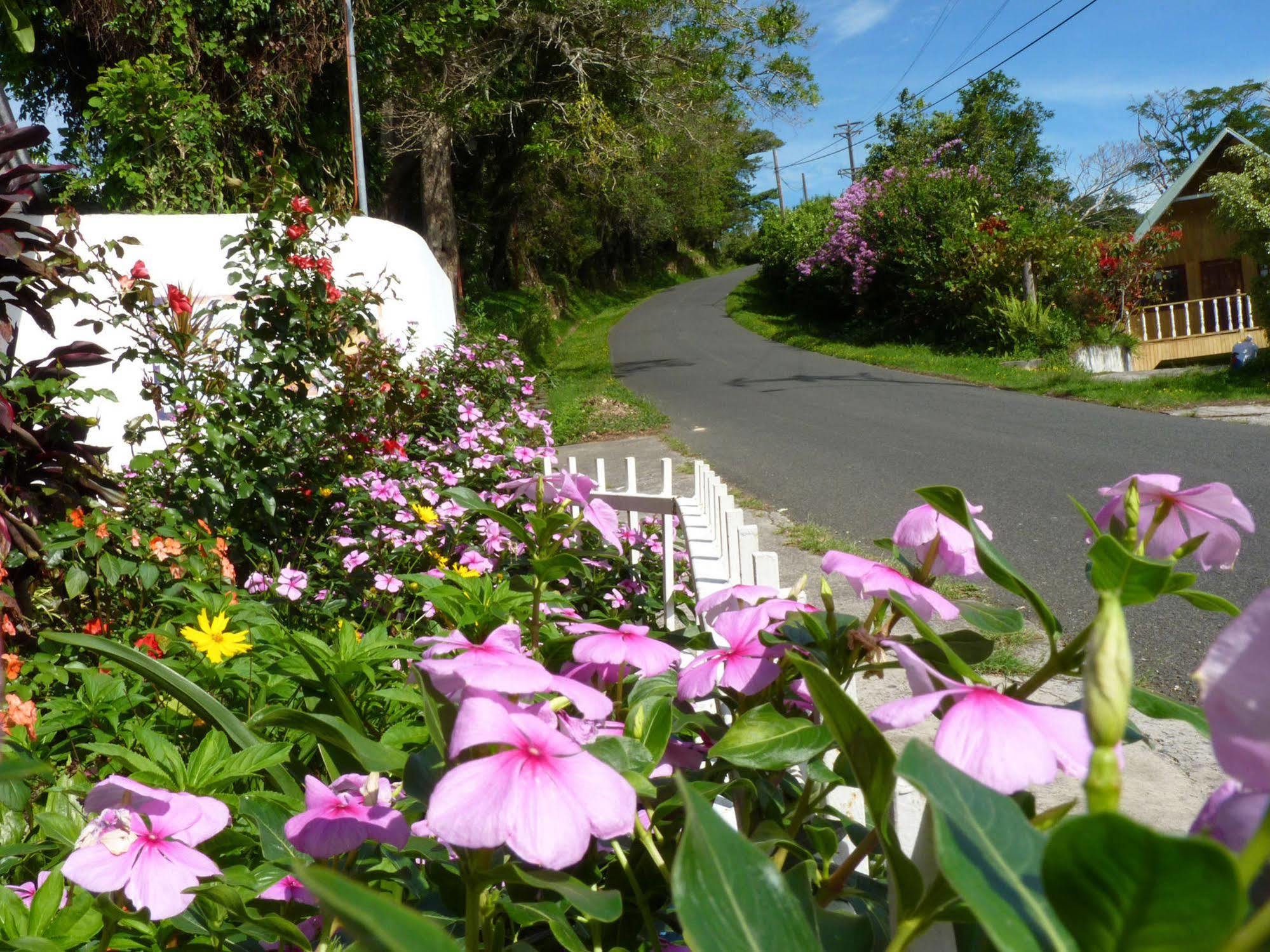 Autana Bed & Breakfast Boquete Eksteriør bilde